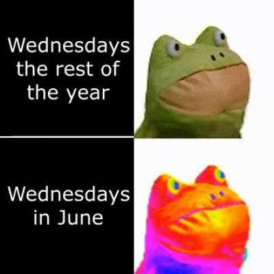 It is wednesday my dudes 