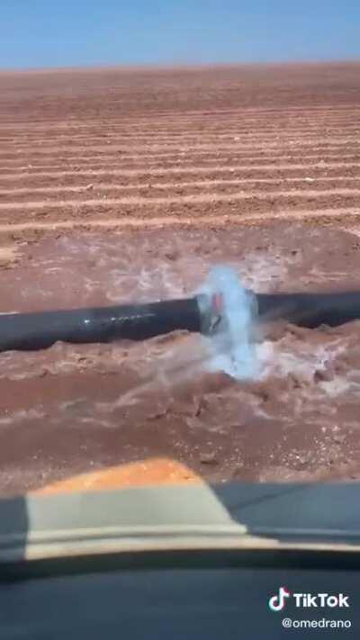 Pinché pendejo se chingo la presa de padres el inge