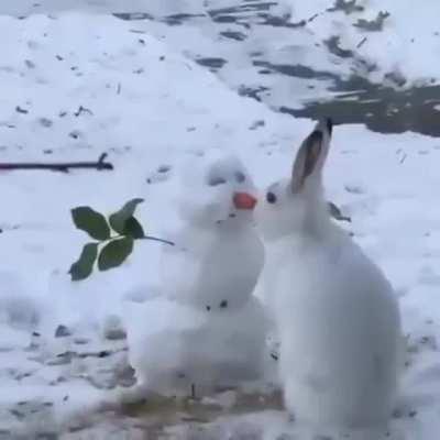 A bunny eating a snowman's carrot