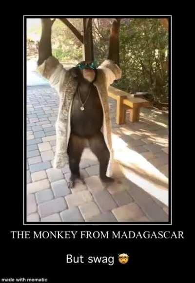 Madagascar 4 leaked monkey scene 🤯😃😎