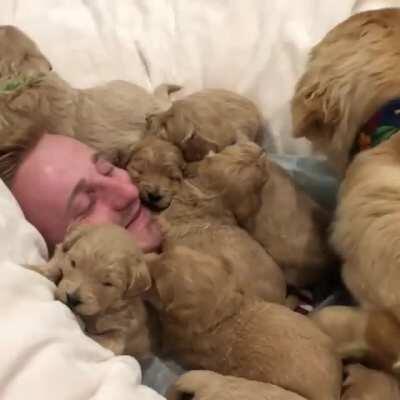 Buried in puppers