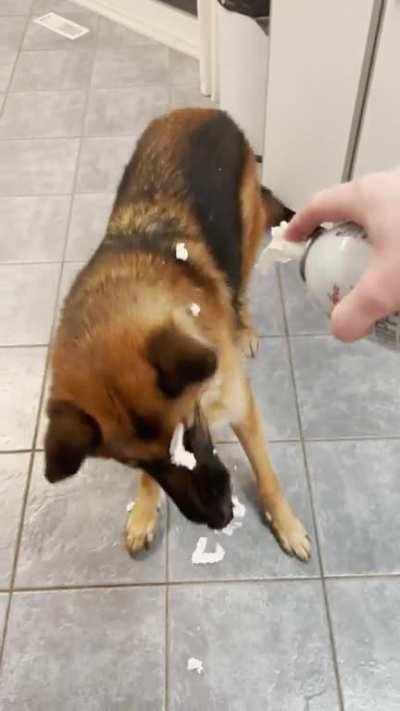 Sneaking a treat with mom.