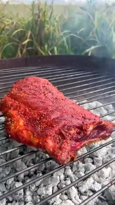 BBQ Ribs outdoors