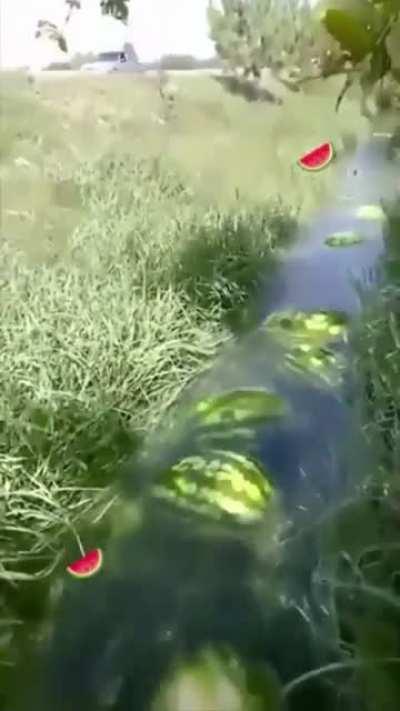 Watermelon River