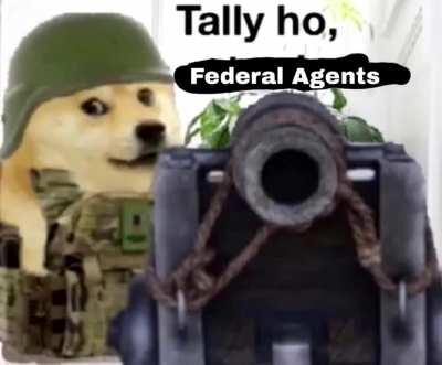 Me politely informing the ATF stack at my door that under us law my athletic cannon does not have to be registered as a Firearm