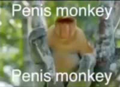 penis monke