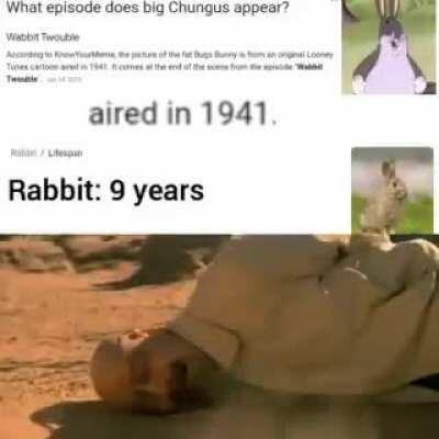 CHUNGUS CAME BACK TO LIFE