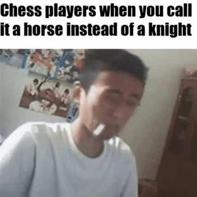 It’s not a knight it is obviously a horse