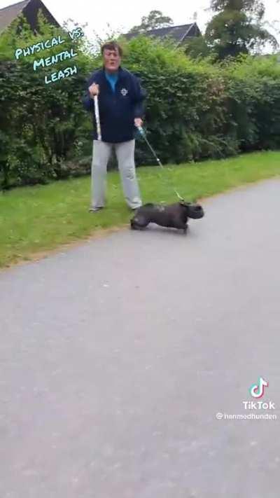 Dork refuses to put a leash on his dog.