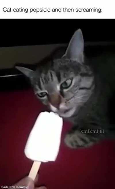 Cat eating popsicles (LOUD WARNING)