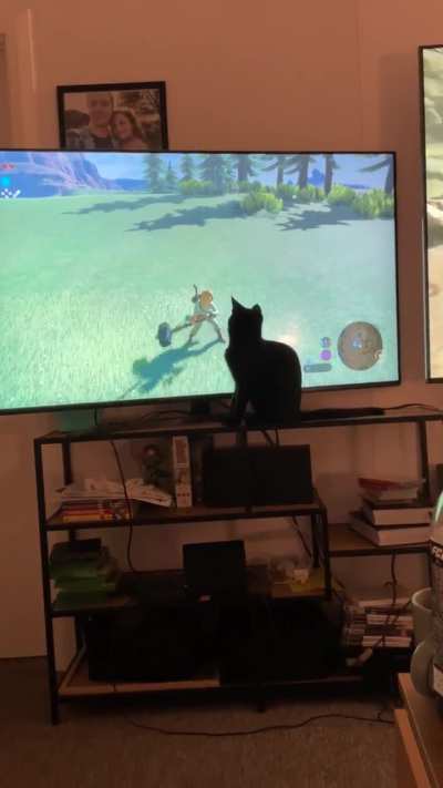 Breath_of_the_Wild