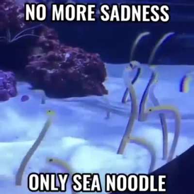 blursed noodles