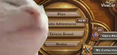 Everytime I open Hearthstone...