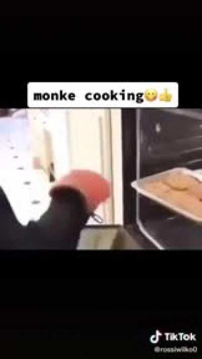 Monke cooking and excited