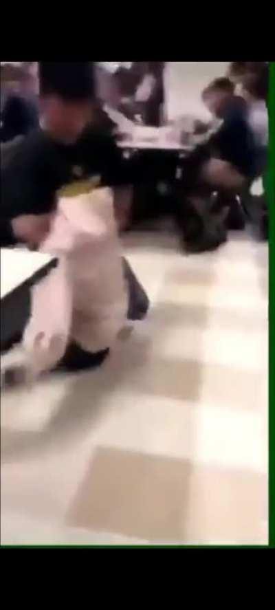 Bully tries to fight someone trained in martial arts and it goes south...