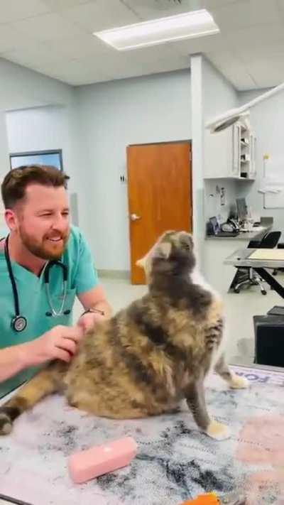 Vet Plays The &quot;I Love You&quot; Spots On Kitty