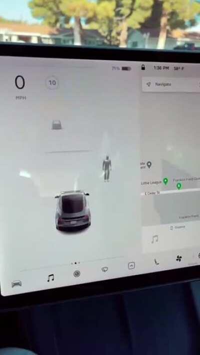 Tesla collision avoidance software detecting an invisible man at a cemetery