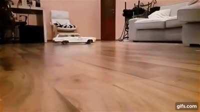 RC car mimics the weight