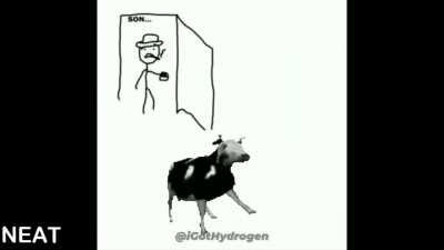 Im the aerodynamic of cow.........