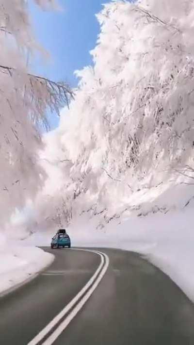 🔥Driving through snowy roads in Greece🔥