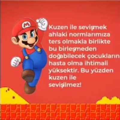 Mario ve luigi kuzen ile sevişmek hakkında ne düşünüyor ?