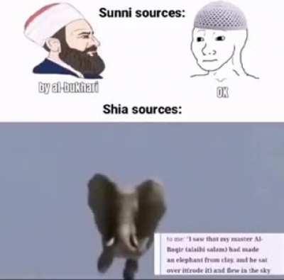 If shias only read their sources they would have abandoned their heresy.