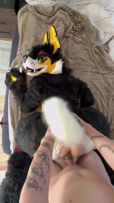 fursuitsex