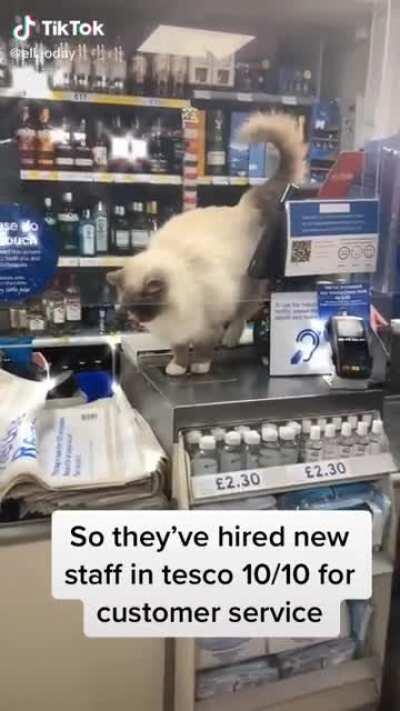 New staff in Tesco 🐈