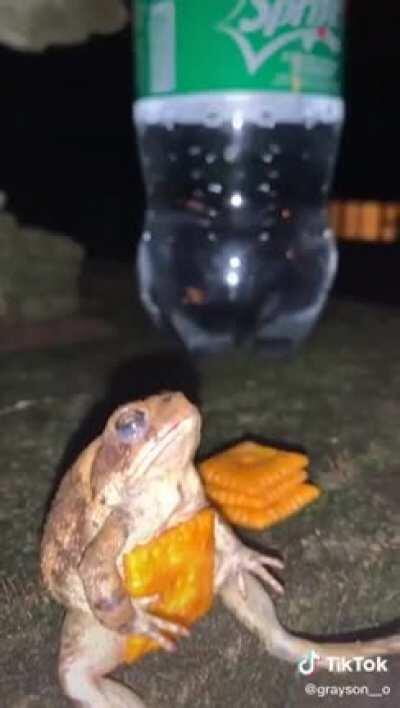 Frog off da dirty sprite