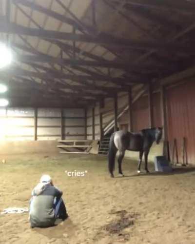 Horse thinks owner is sad and comforts her