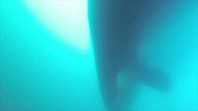 Freighter ship passing right above diver