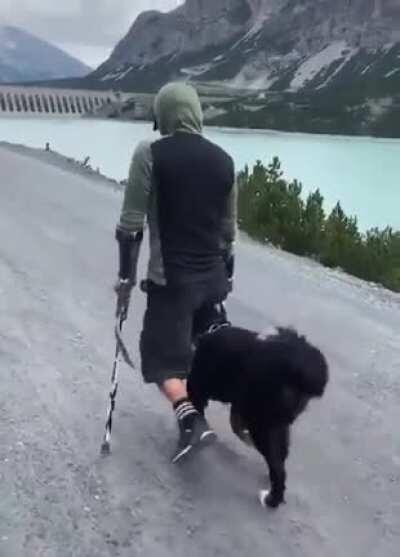 Doggo walks with owner, happy to have an opening beneath him