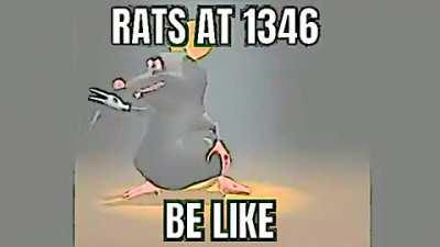 Rat is in 1346 what is gonna do tho?