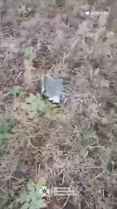 In Sumy Oblast border guards shot down a Shahed-type UAV with small arms fire [20.10.2024]