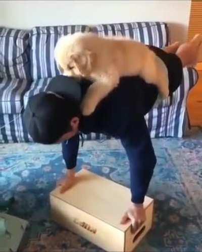 Puppy workout you didn't knew you needed