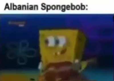 Spongn kgnob