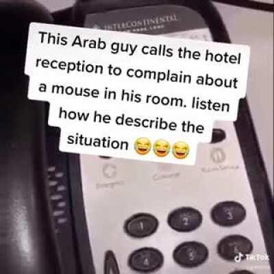 This guy complaining about a mouse in his room