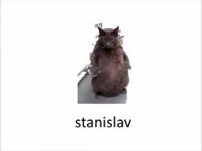 stanislav