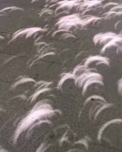 🔥 Shadows during a solar eclipse