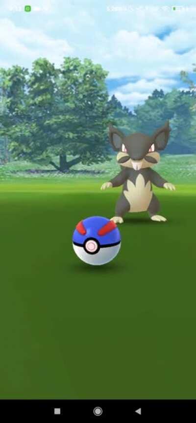 Rattata used double team