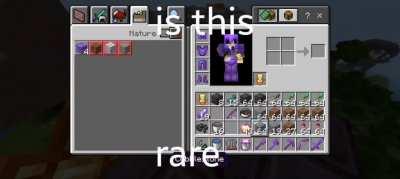 r/mcpe posts be like