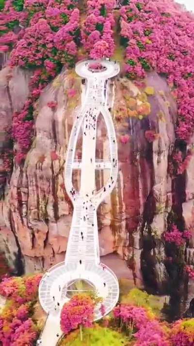 Ruyi bridge in China!!