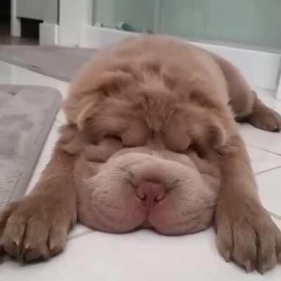 Wrinkles!