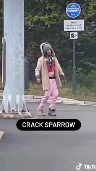 Crack Sparrow - no my vid ;)