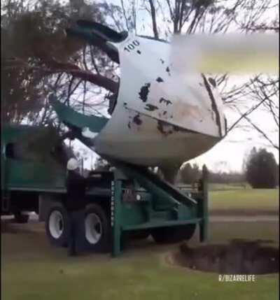 Transplanting a tree