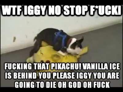 WTF IGGY NO STOP F*UCKING THAT PIKACHU