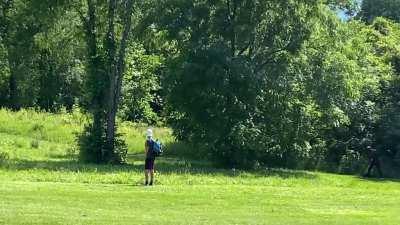 Disc golf is such a peaceful sport