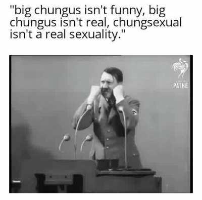 bigchungusresistance be like