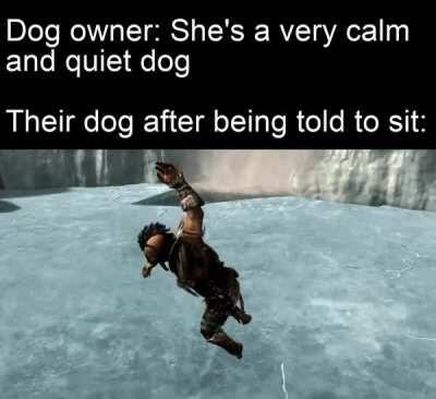 Good doggo