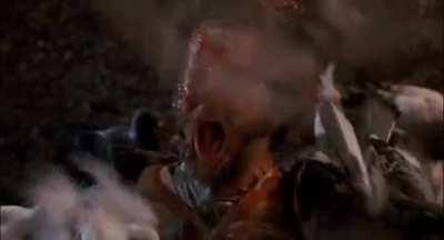 Marv covered in Birds, Home Alone 2